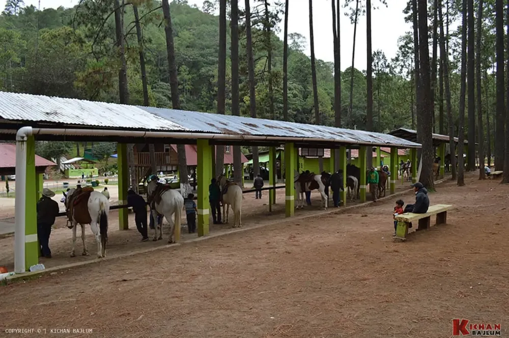  en GRUTAS DE RANCHO NUEVO Y ARCOTETE